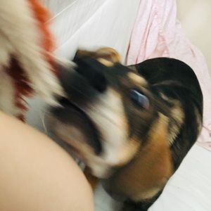 Meet your Posher, Adrienne